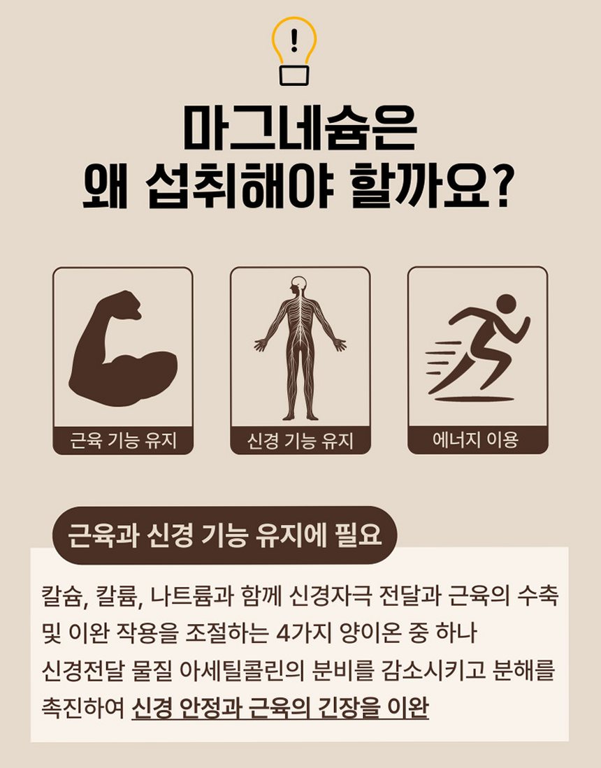 [약사개발] 근육이 편해지는 마그네슘 릴렉스마그콰트로 젖산마그네슘 유기염 마그네슘효능 60정, 1개